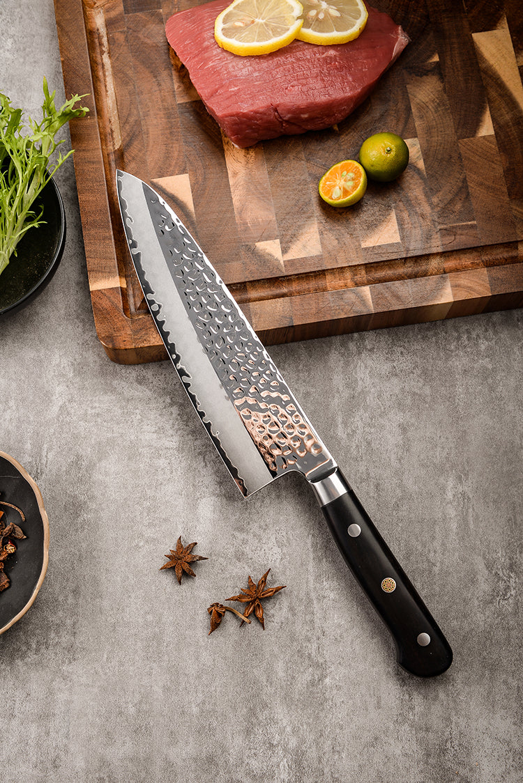 AMSZL Silver Scale Series - 8 inch Chef Knife, B9-C3