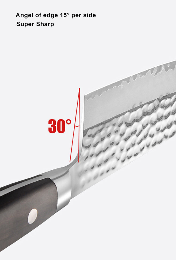 AMSZL Silver Scale Series - 8 inch Carving Knife, B9-C6