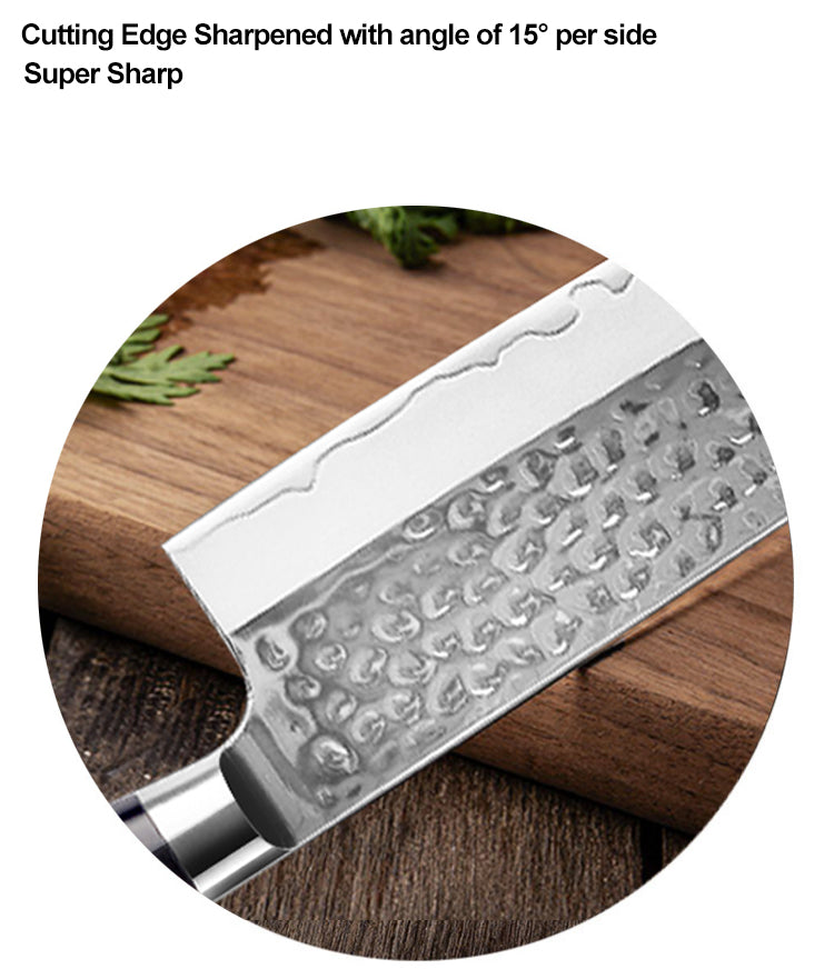 AMSZL Silver Scale Series - 9 inch Gyuto Knife, B9-C10A