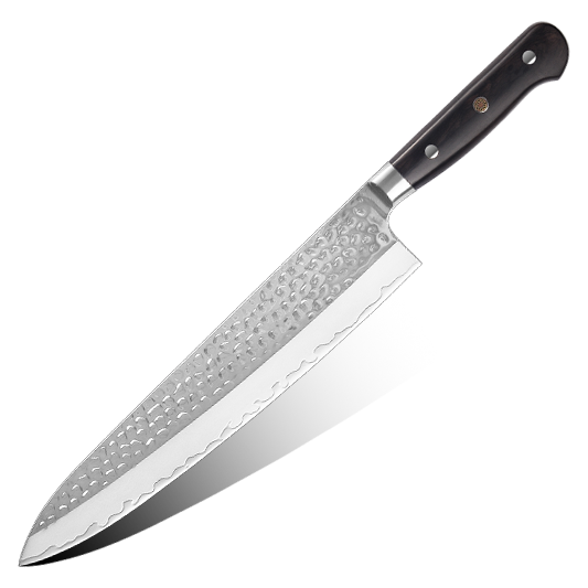 AMSZL Silver Scale Series - 10 inch gyuto knife, B9-C10