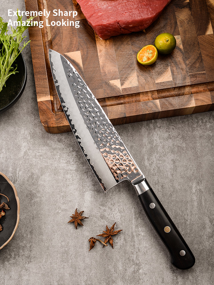 AMSZL Silver Scale Series - 7 inch Santoku Knife, B9-C4