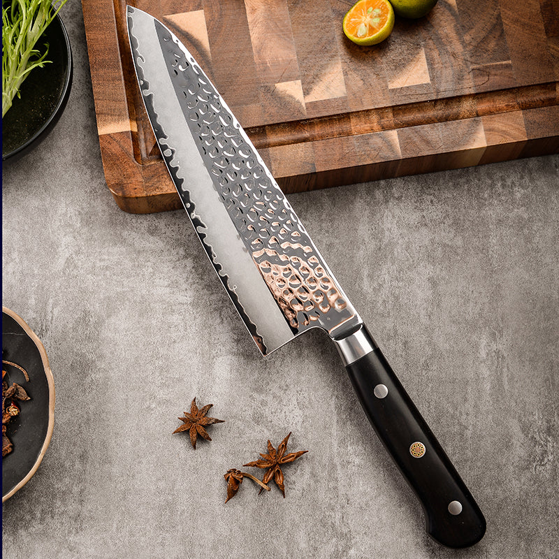 AMSZL Silver Scale Series - 8 inch Chef Knife, B9-C3