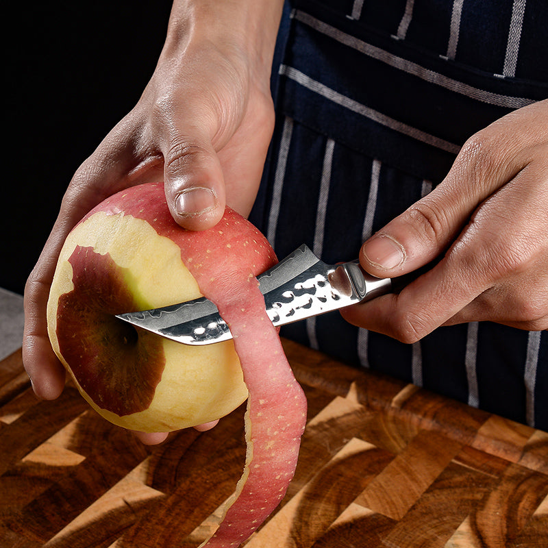 AMSZL Silver Scale Series - 3.5 inch Paring Knife, B9-C7