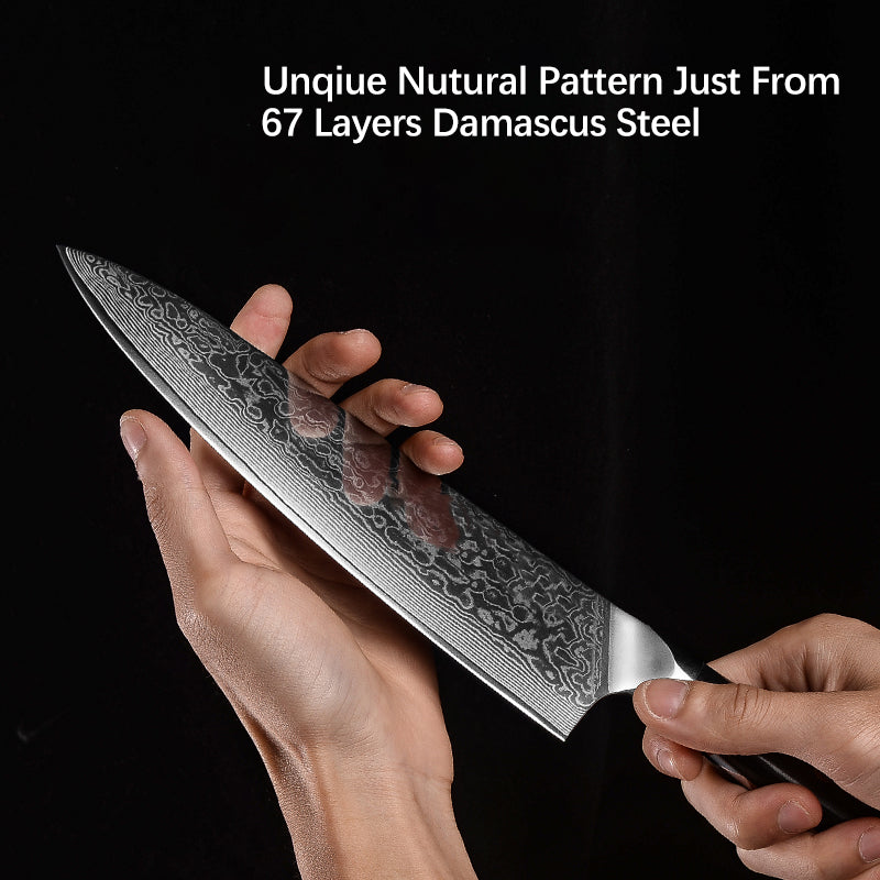 AMSZL 8 inch Damascus Chef Knife DM-GS003-1