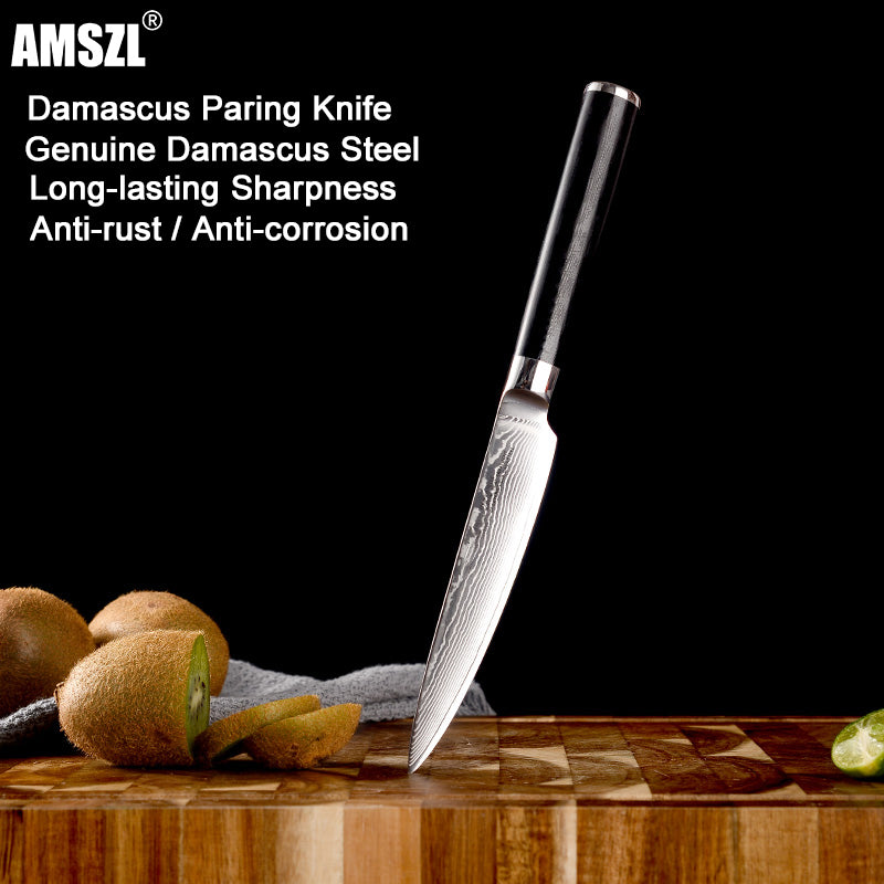 Boamlona 5 inch Damascus Utility Knife DM-GS008