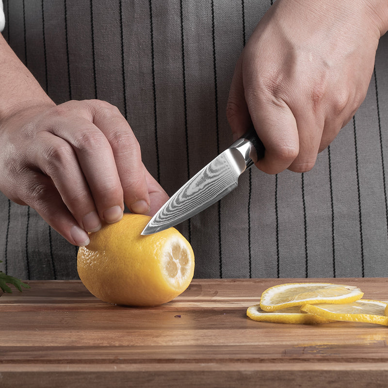 AMSZL 3.5 inch Damascus Paring Knife DM-GS007