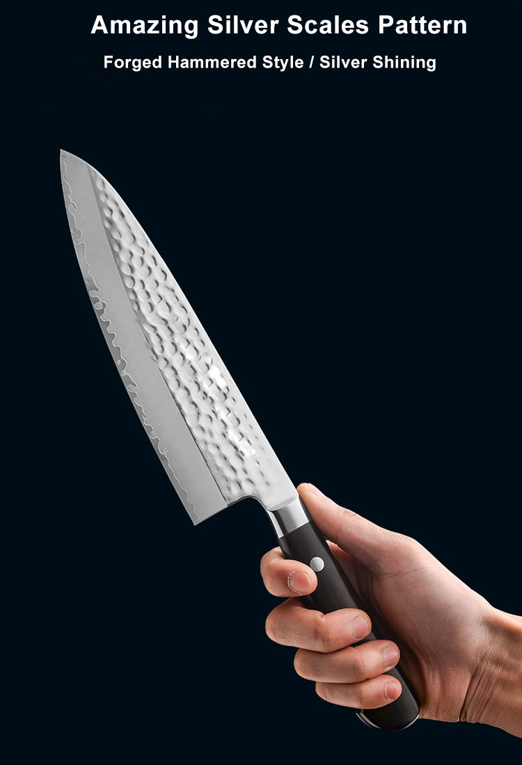 AMSZL Silver Scale Series - 8 inch Chef Knife, B9-C3